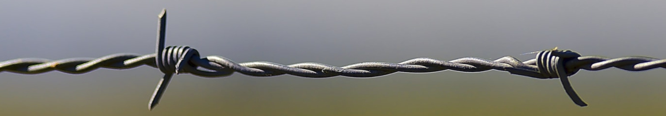 Barbed wire 1320x230