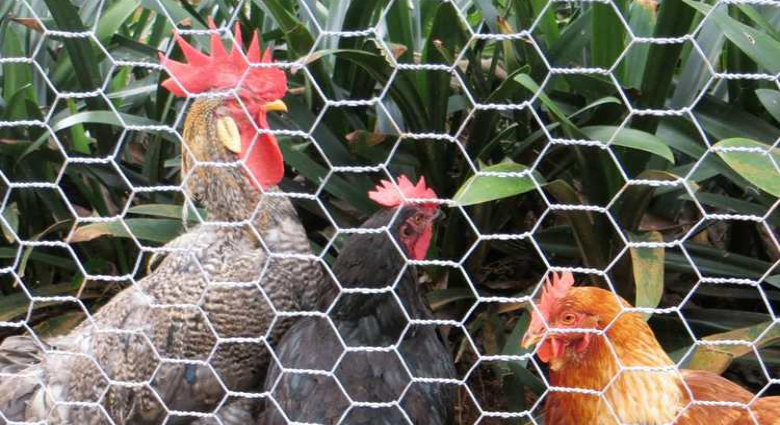 Αρχική Σελίδα evriposwire.gr